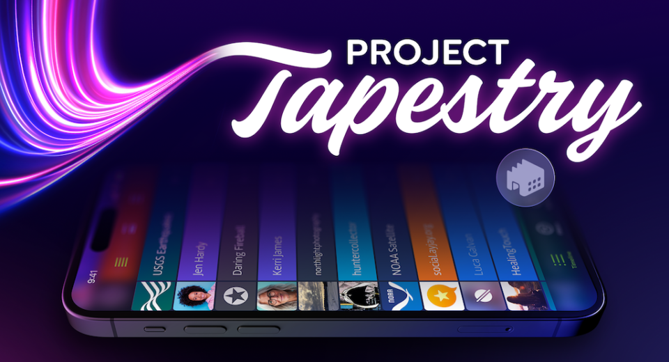 project tapestry splash screen